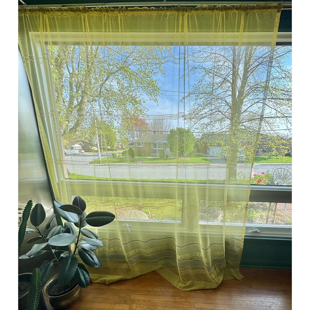 Vintage 70s curtain, muted lime green, open weave embroidered daisies, 1 panel